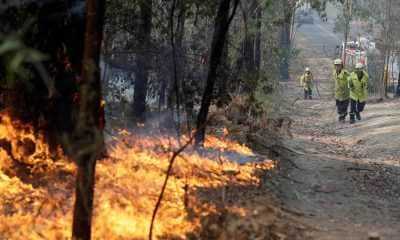 Rio Tinto dona US$1 millón por incendios en Australia