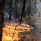 Rio Tinto dona US$1 millón por incendios en Australia