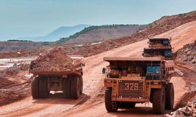 Rugby Mining completó muestreo de suelos en El Zanjón