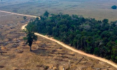 Brasil-Deforestación-en-la-Amazonía