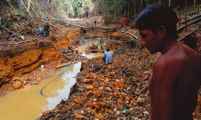 Brasil: minería ilegal