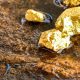 Proyectos mineros de oro en México